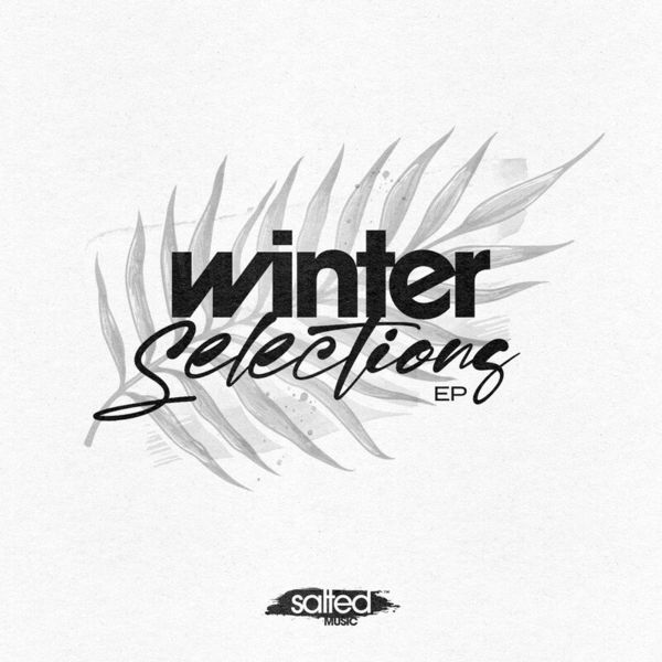 VA - Winter Selections / SALTED MUSIC