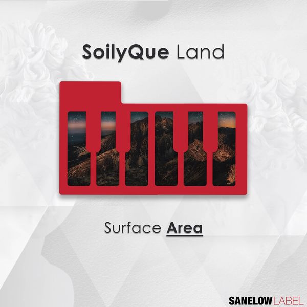 SoilyQue Land - Surface Area / Sanelow Label
