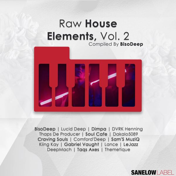 VA - Raw House Elements, Vol. 2 / Sanelow Label