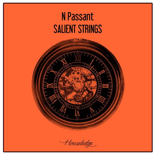 N Passant - Salient Strings / Houseledge