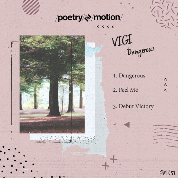 Vigi - Dangerous / Poetry in Motion