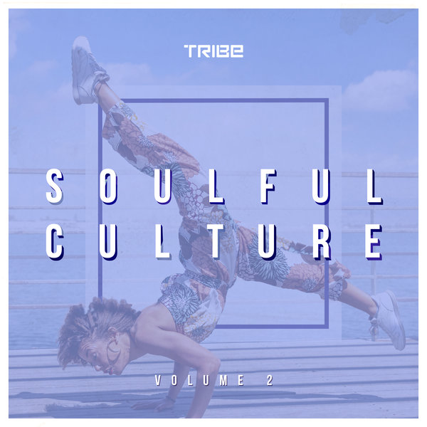 VA - Zepherin Saint Presents Soulful Culture 2 / Tribe Records