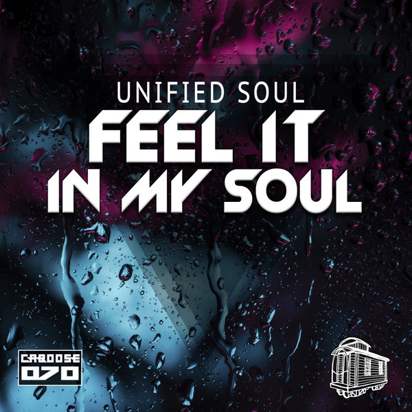 Unified Soul - Feel It In My Soul / Caboose Records