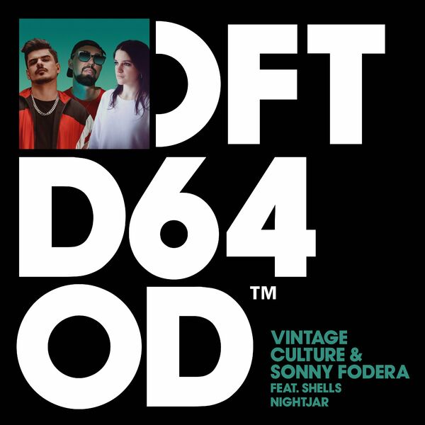Vintage Culture & Sonny Fodera - Nightjar (feat. SHELLS) / Defected Records