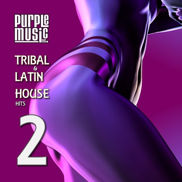 VA - Latin & Tribal House Hits 2 / Purple Music