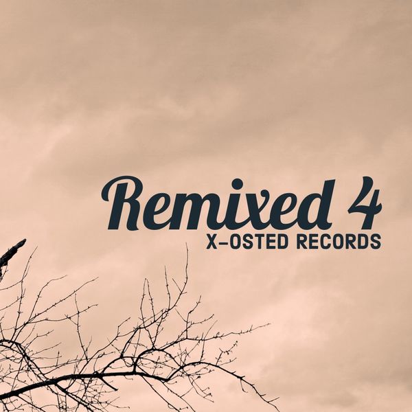 VA - Remixed 4 / X-Osted