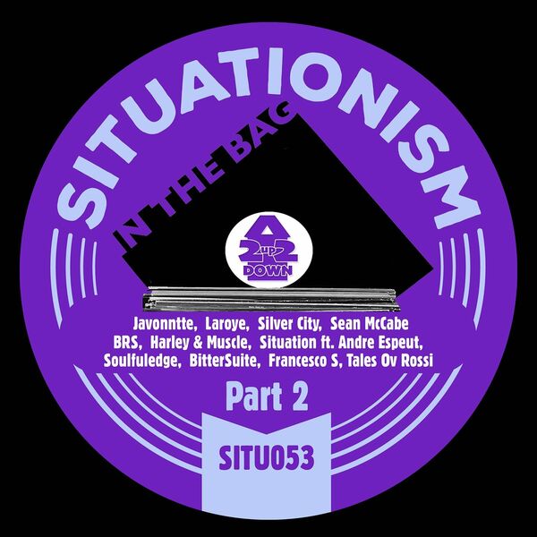 VA - In the Bag: 2Up2Down, Pt. 2 / Situationism