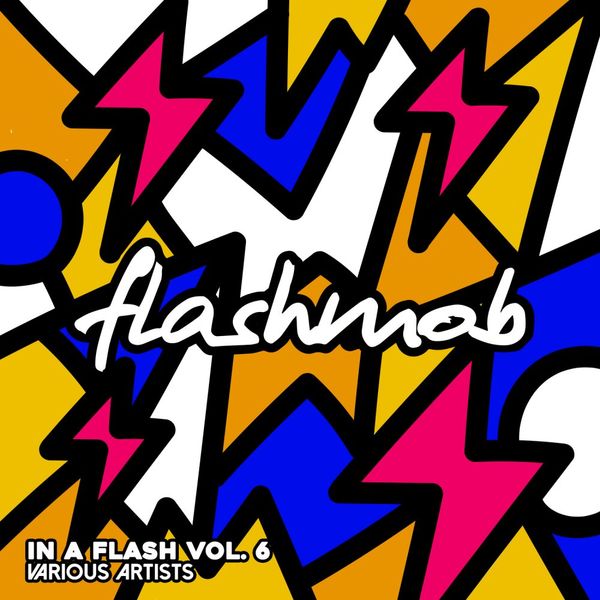 VA - In A Flash, Vol. 6 / Flashmob Records