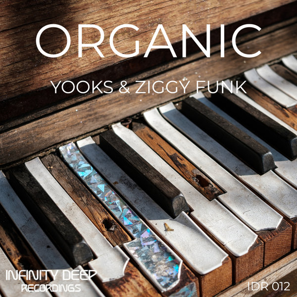 Yooks & Ziggy Funk - Organic / INFINITY DEEP RECORDINGS