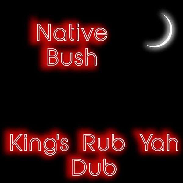 Native Bush & Trinidadian Deep - King's Rub Yah Dub / noctu recordings