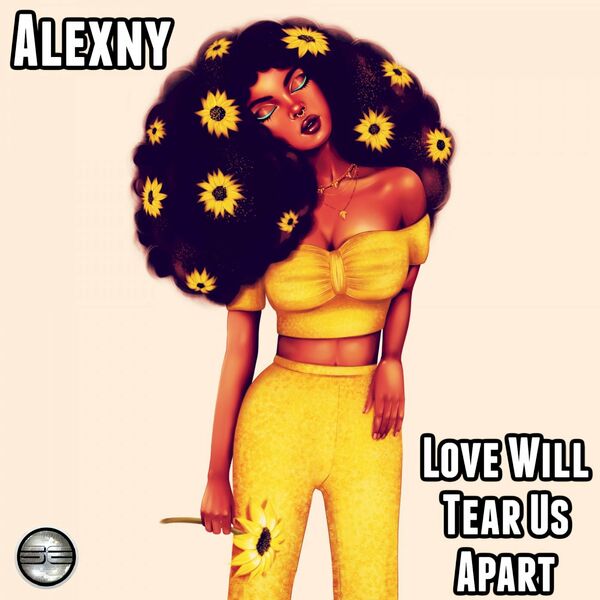 Alexny - Love Will Tear Us Apart / Soulful Evolution