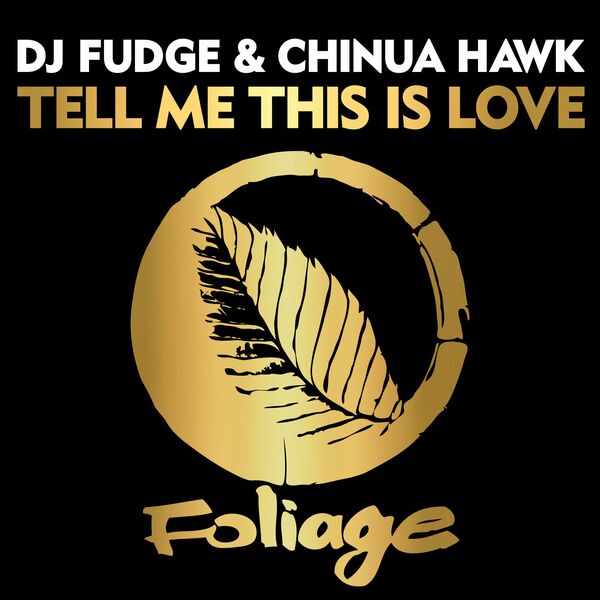 DJ Fudge & Chinua Hawk - Tell Me This Is Love / Foliage Records
