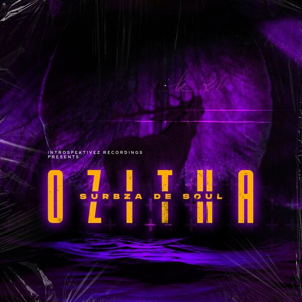 Surbza De Soul - Ozitha / Introspektivez-Recordings