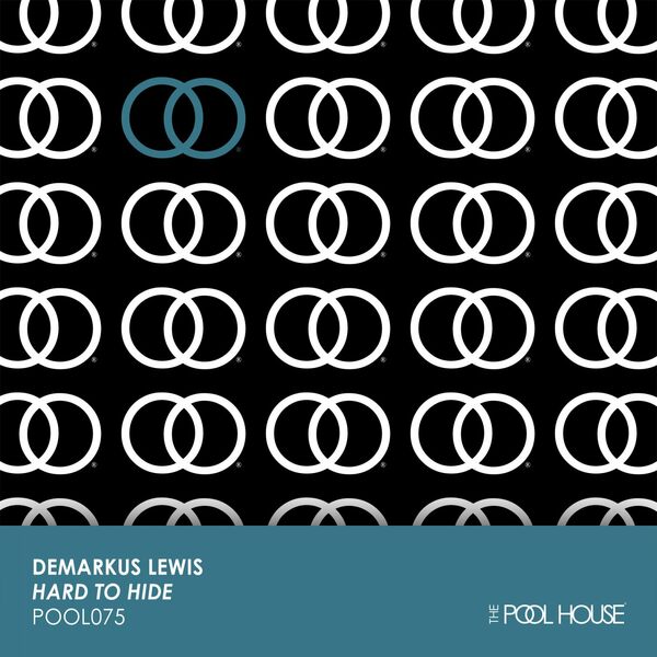 Demarkus Lewis - Hard To Hide / The Pool House