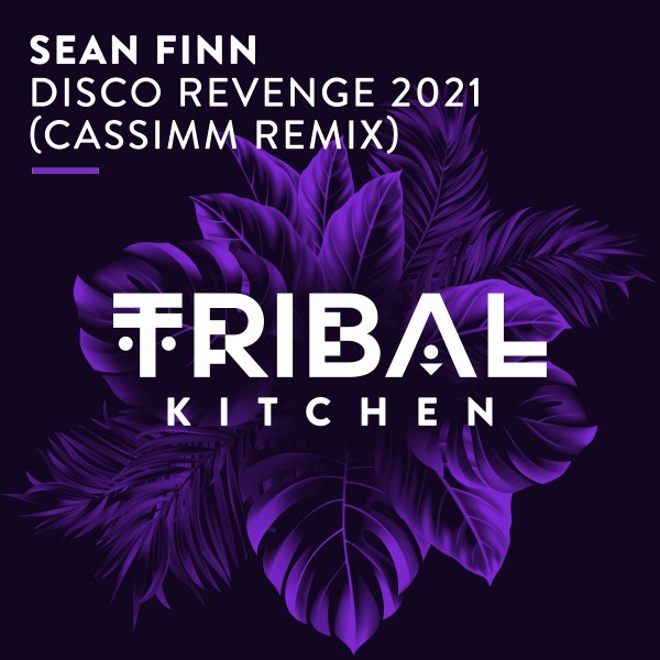 Sean Finn - Disco Revenge 2021 (Cassimm Remix) / Tribal Kitchen