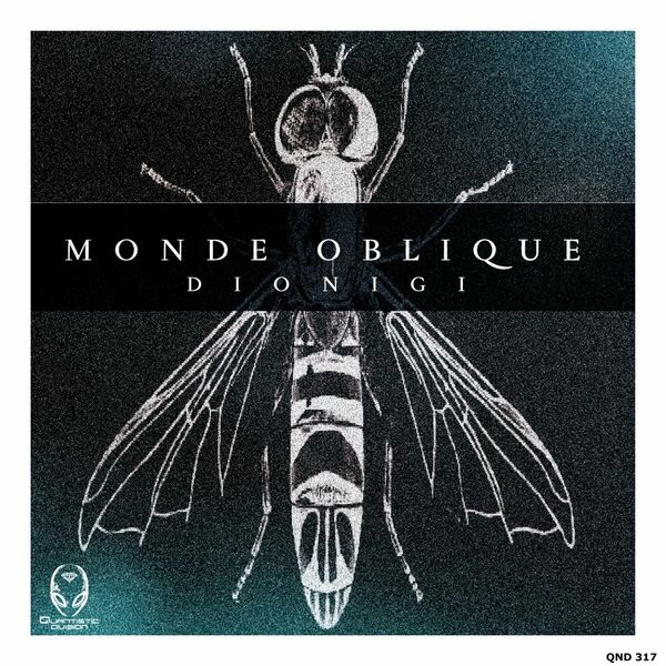 Dionigi - Monde Oblique / Quantistic Division