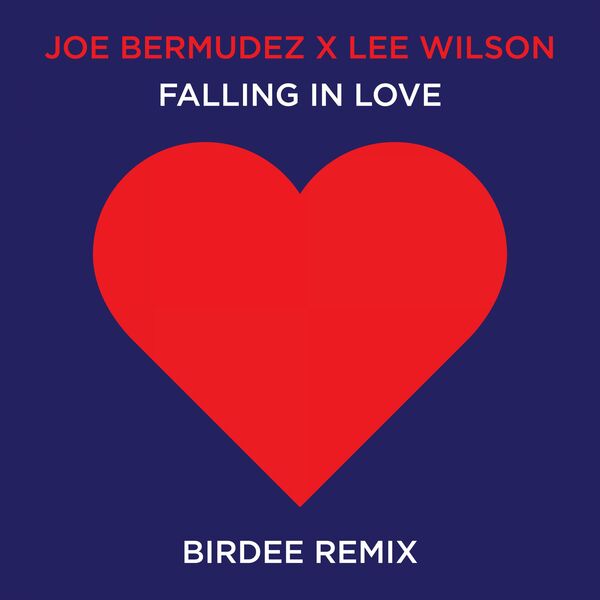 Joe Bermudez X Lee Wilson - Falling In Love (Birdee Remix) / 617 Records