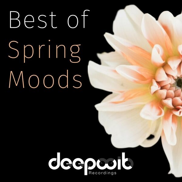VA - Best of Spring Moods / DeepWit Recordings