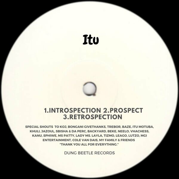 Itu - Introspection / Dung Beetle Records