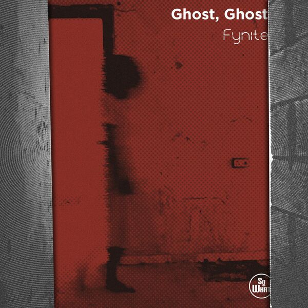 Fynite - Ghost, Ghost / soWHAT records