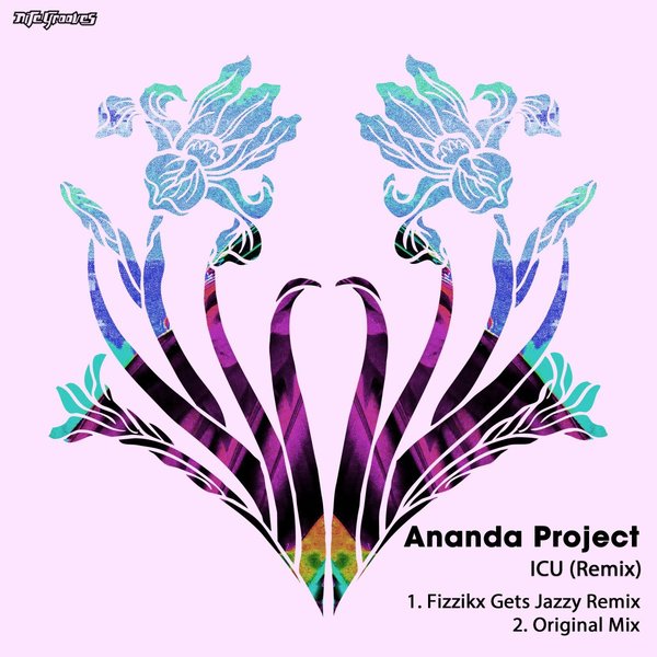Ananda Project - ICU (Remix) / Nite Grooves