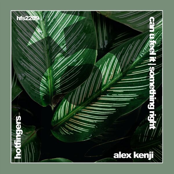 Alex Kenji - Can U Feel It | Something Right / Hotfingers