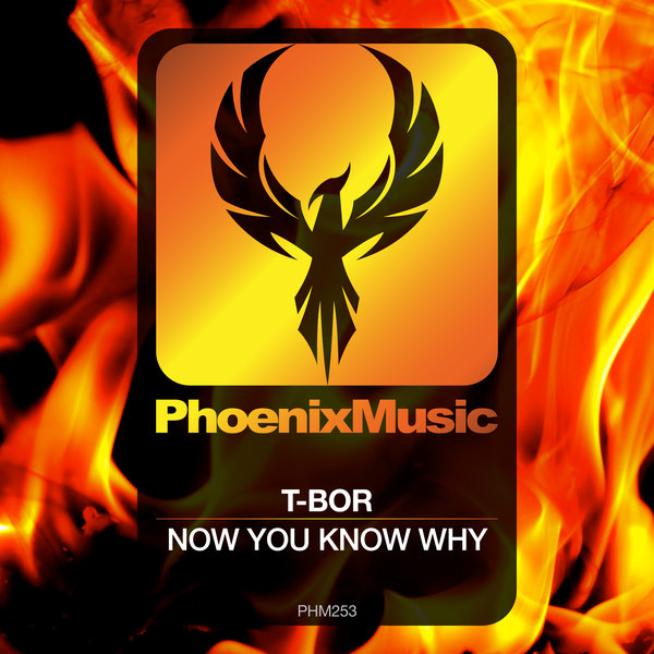 T-Bor - Now You Know Why / Phoenix Music