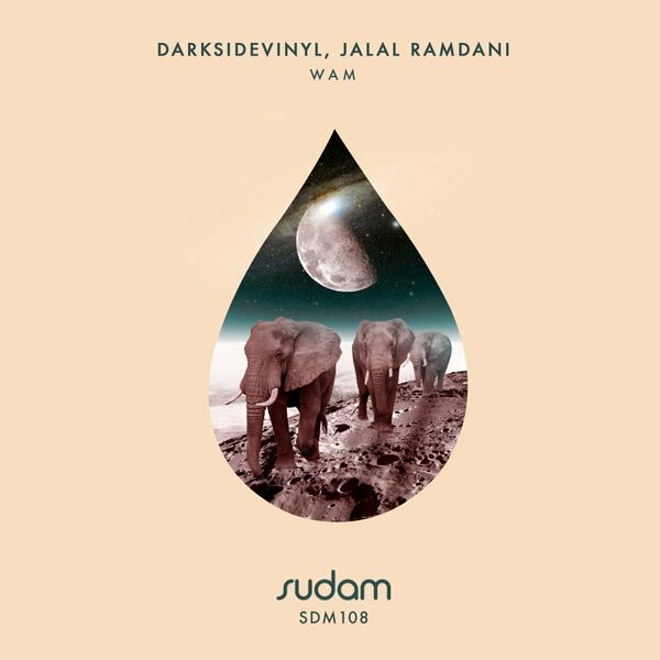 Darksidevinyl - Wam / Sudam Recordings