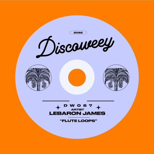 LeBaron James - DW067 / Discoweey