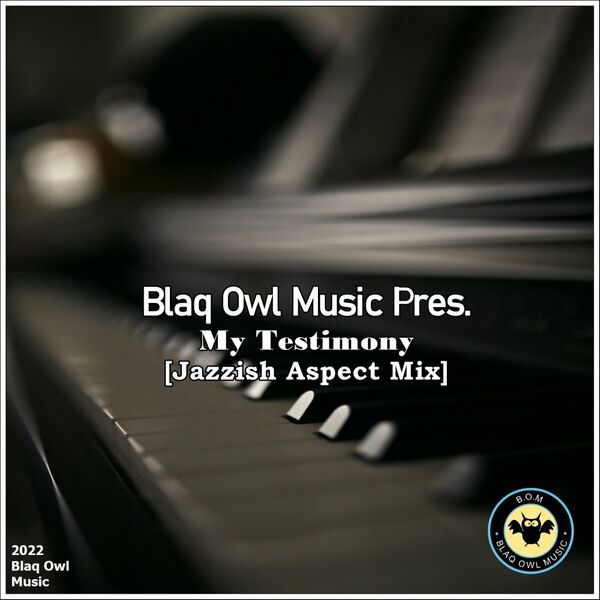 Blaq Owl - My Testimony (Jazzish Aspect Mix) / Blaq Owl Music