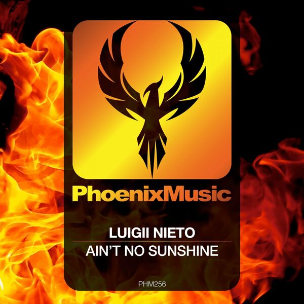 Luigii Nieto - Ain't No Sunshine / Phoenix Music