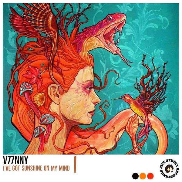 V77NNY - I've Got Sunshine On My Mind / Jive Afrika Recordings