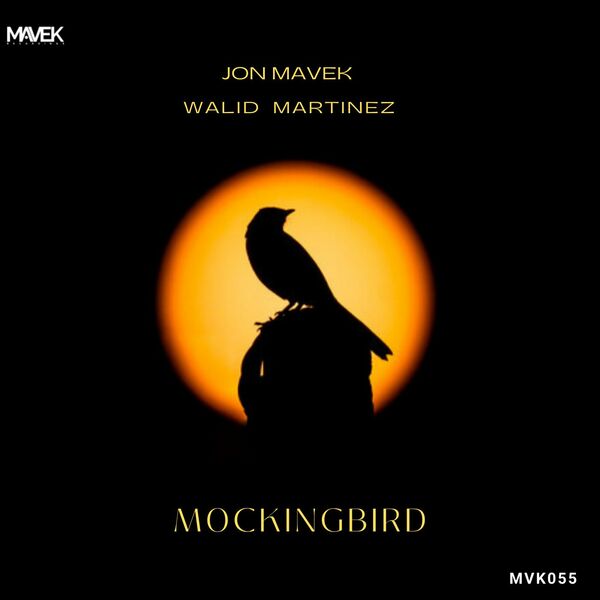 Jon Mavek & Walid Martinez - Mockingbird / Mavek Recordings