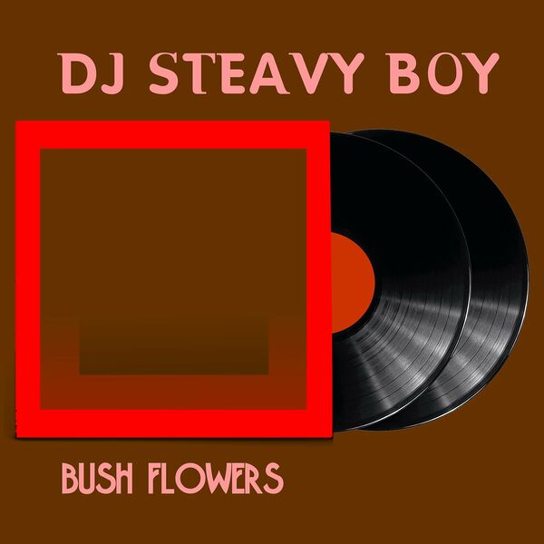DJ Steavy Boy - Color Blind / Steavy Boy 85 Records