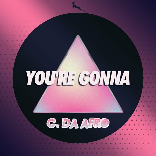 C. Da Afro - You're Gonna / Springbok Records