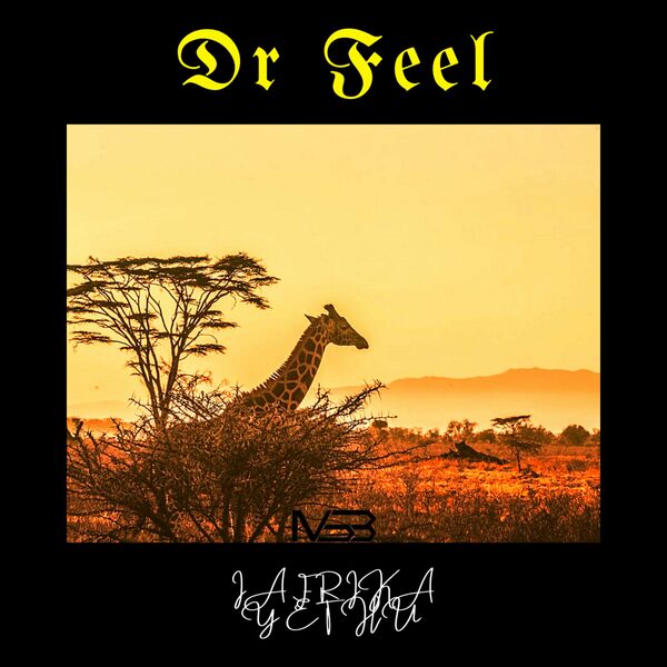 Dr Feel - Iafrika Yethu / My Sound Box
