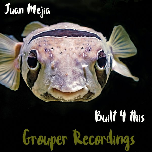 Juan Mejia - Built 4 This / Grouper Recordings