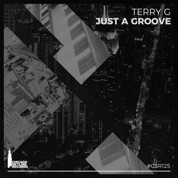 TERRY G - Just A Groove / Chicago Skyline Records
