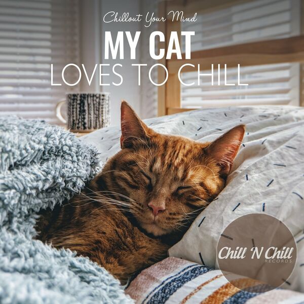 VA - My Cat Loves to Chill: Chillout Your Mind / Chill 'N Chill Records