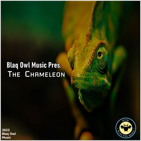 Blaq Owl - The Chameleon / Blaq Owl Music