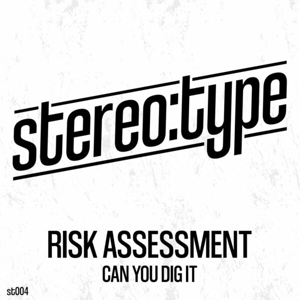 Risk Assessment - Can You Dig It / Stereo:type