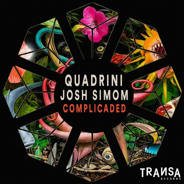 Josh Simom - Complicaded / TRANSA RECORDS