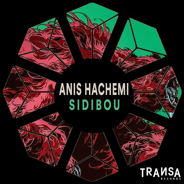 Anis Hachemi - Sidibou / TRANSA RECORDS