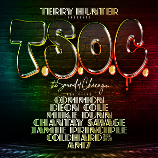 Terry Hunter - T.S.O.C. (feat. Common, Mike Dunn, Deon Cole, Chantay Savage, Coldhard, AM7, Jamie Principle) / Mirror Ball Recordings
