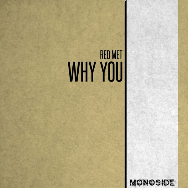 Red Met - Why You / MONOSIDE