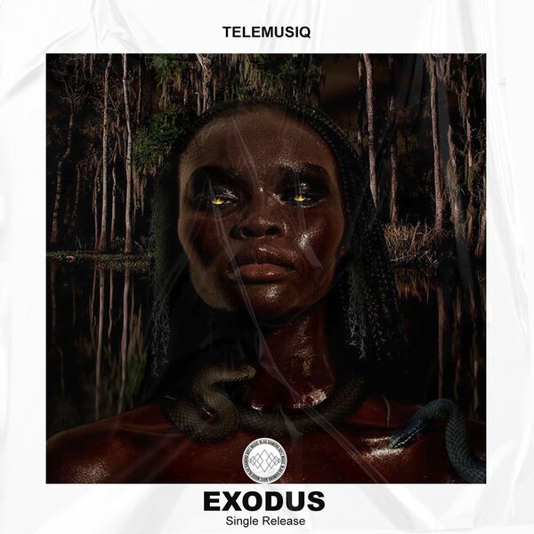 Telemusiq - Exodus / Blaq Diamond Boyz Music