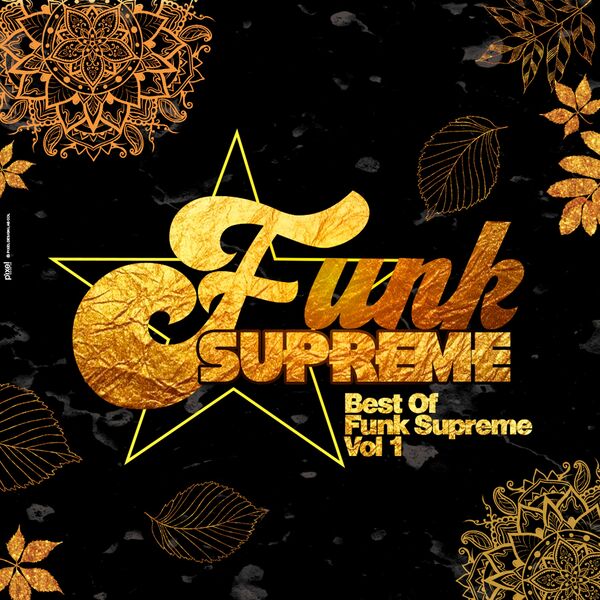 VA - Best of Funk Supreme, Vol. 1 / FUNK SUPREME
