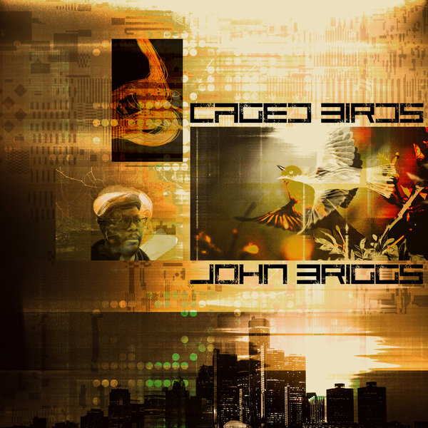 John Briggs - Caged Birds / Atjazz Record Company