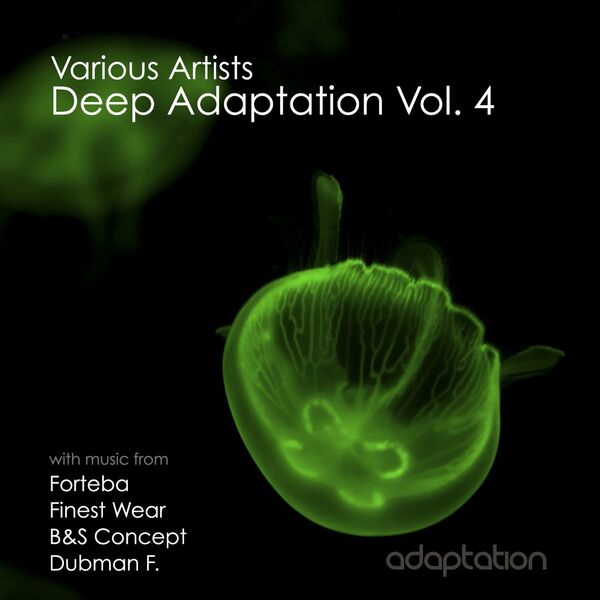VA - Deep Adaptation, Vol. 4 / Adaptation Music