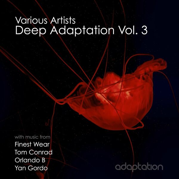 VA - Deep Adaptation, Vol. 3 / Adaptation Music